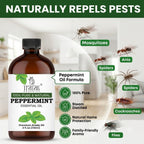 Peppermint Essential Oil